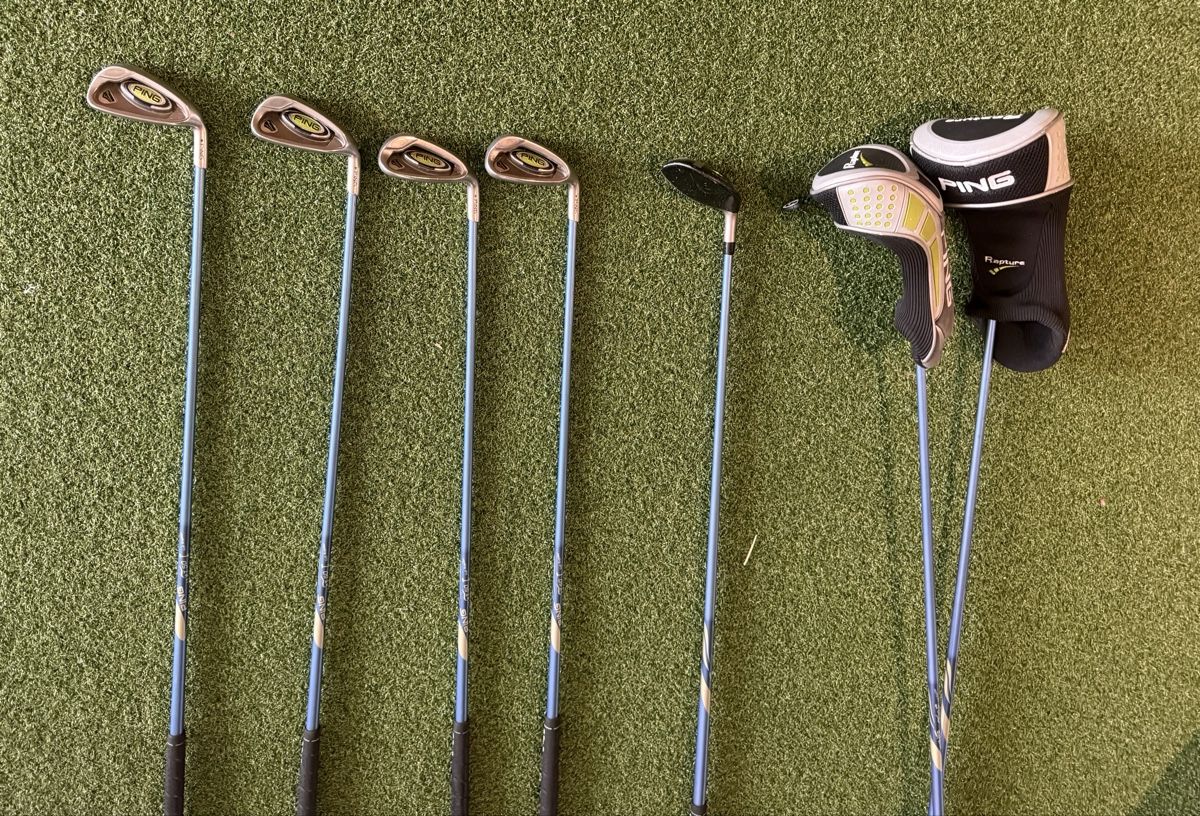 Schläger & Sets: Golfschläger Set mit Bag – Gebraucht aus Evilard von bille71 4