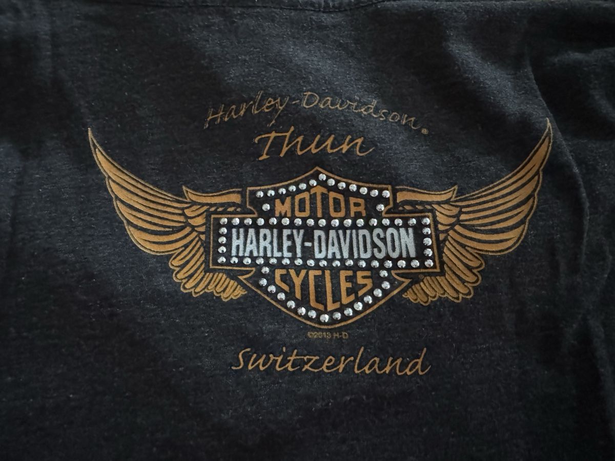 Harley-Davidson T-shirt: Harley Davidson Shirt M – Usato da Maschwanden venduto da Aseagull 2