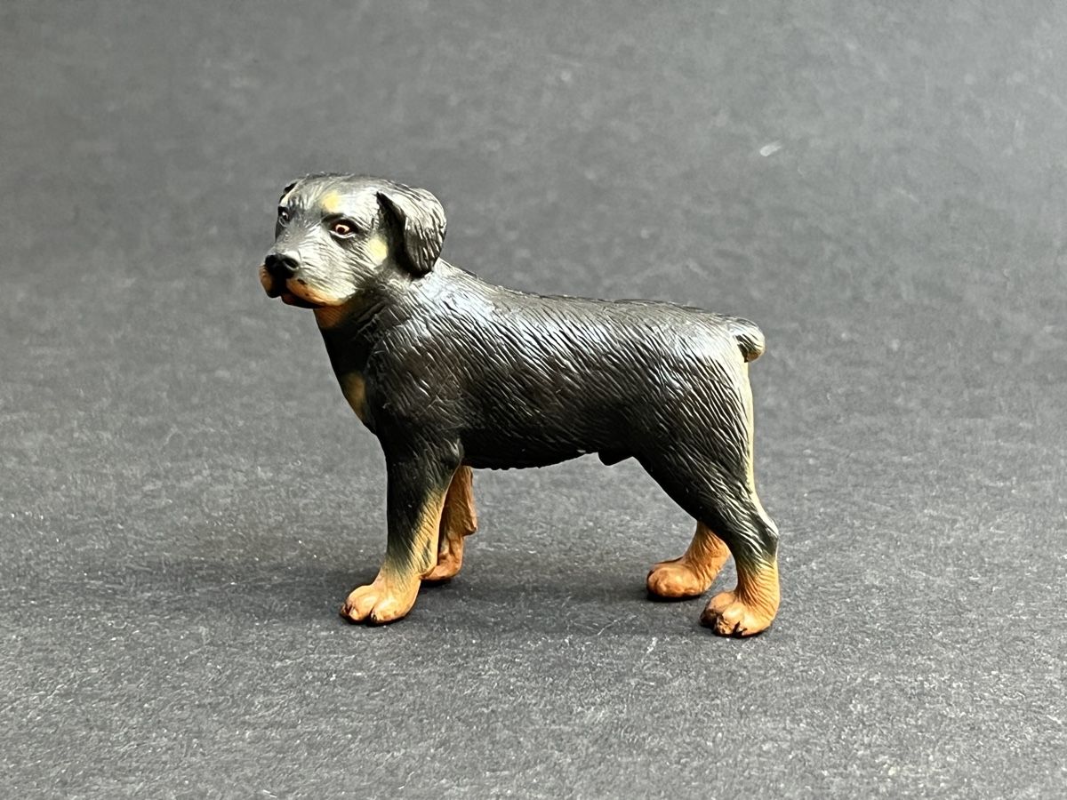 Schleich Statuette: Schleich Rottweiler Hund 16325 – Usato da Ennetbaden venduto da mapa05