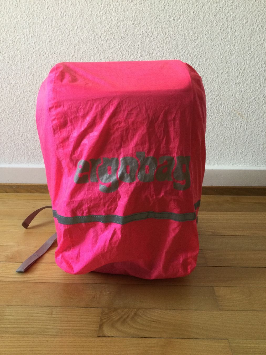Ergobag Borse & Zaini: Ergobag Schulranzen mit Zubehör – Usato da Basel venduto da Anja_1981 1