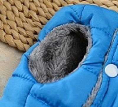 Abbigliamento: Hunde Wintermantel S – Nuovo e nell'imballaggio originale da Matt venduto da Westigruppe 2