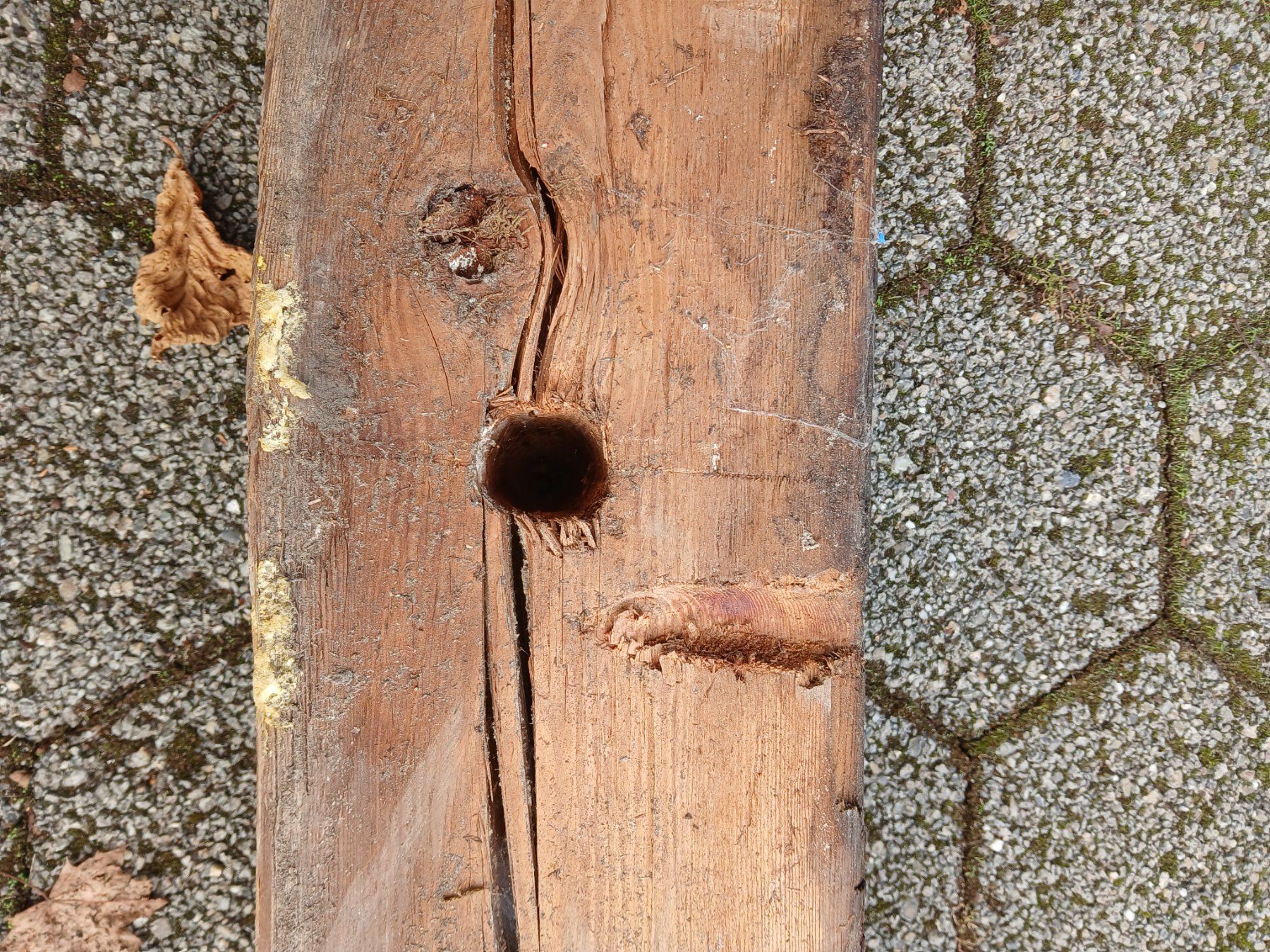 Holzartikel: Altholzbalken Lärche – Gebraucht aus Zuchwil von pedu79 6