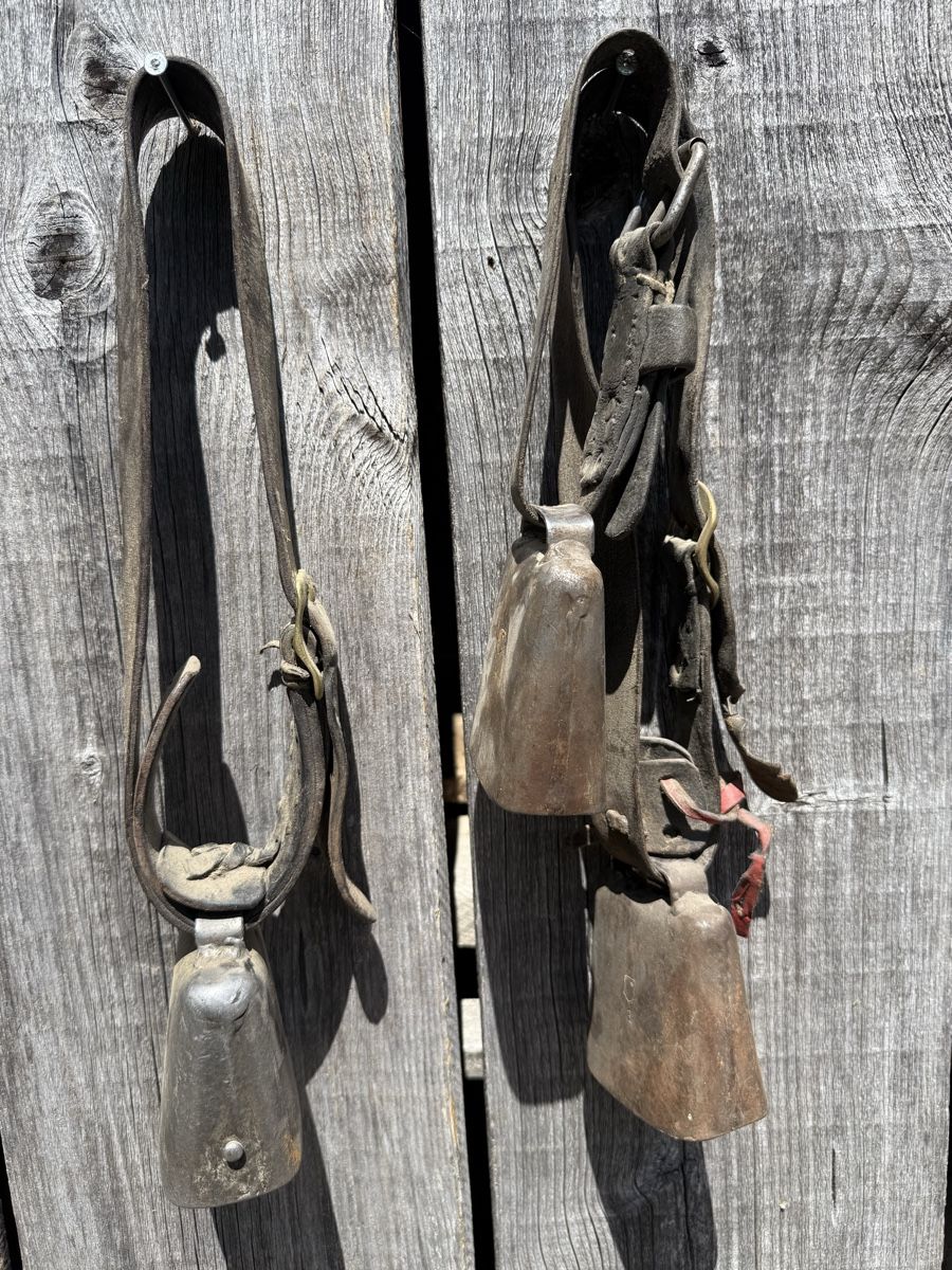 Campanacci mucche: Schönes ASM Nr. 3 Set – Usato da Sargans venduto da foxtrading 3