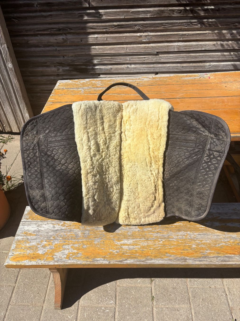 Christ Selle & Accessori: CHRIST Fellsattel Iberica Plus – Usato da Utzigen venduto da lar_gdt6 2