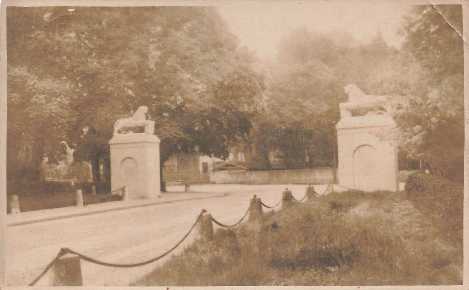 Cartoline postali: Zofingia – Usato da Biasca venduto da Blenio71