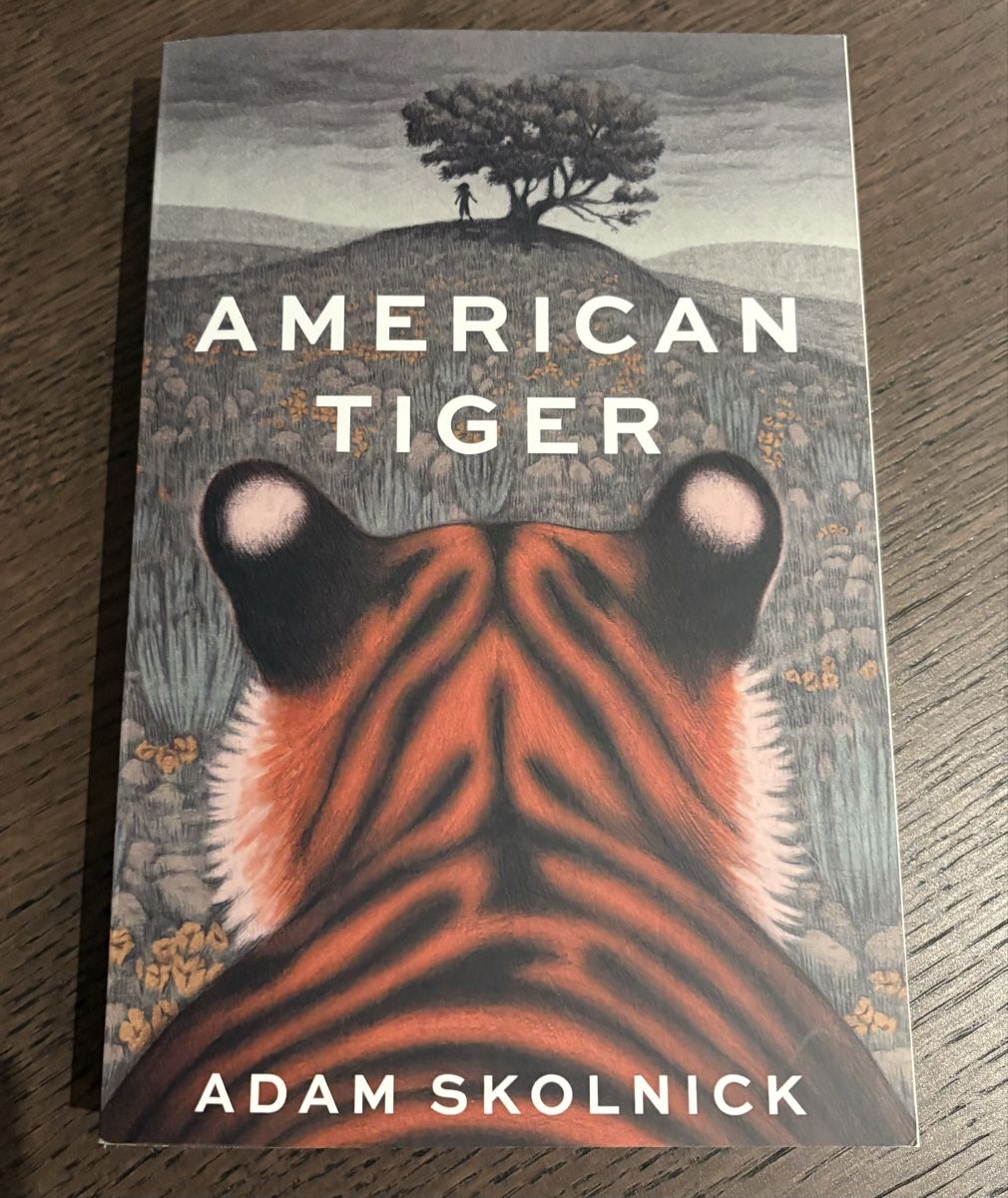 Bücher: American Tiger von Adam Skolnick, Roman, Top Zustand! – Gebraucht aus Vordemwald von Stee1990