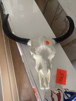Skull Neu