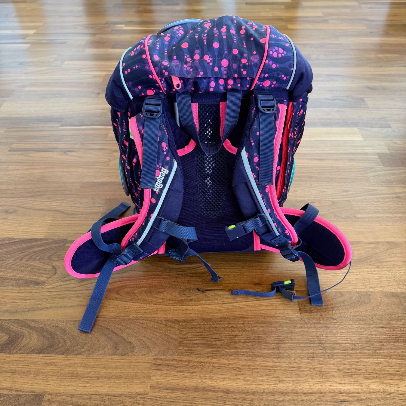 Ergobag Borse & Zaini: Ergobag Schulrucksack mit Etui, Schlamperetui und Turnsack – Usato da Salenstein venduto da rendun 2
