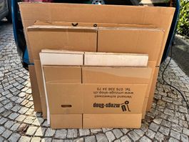 Umzugskarton gebraucht 10 Stück