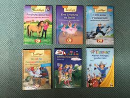 6 Kinderbücher  3.Lesestufe, Ponyhof, Wikinger, Ballett u.a.