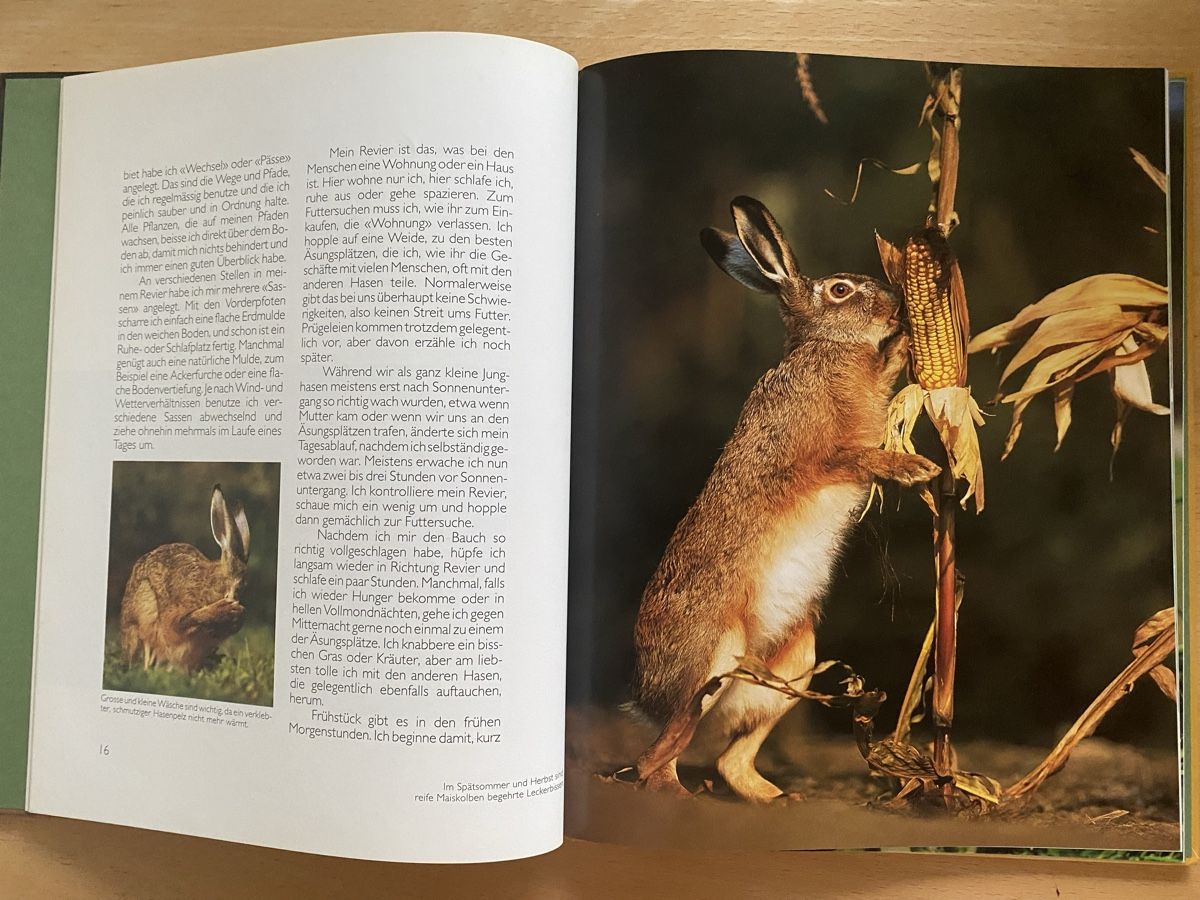 Libri: Ich bin ein Hase - Ursula Dolder – Usato da Schwarzenburg venduto da Michellu 5