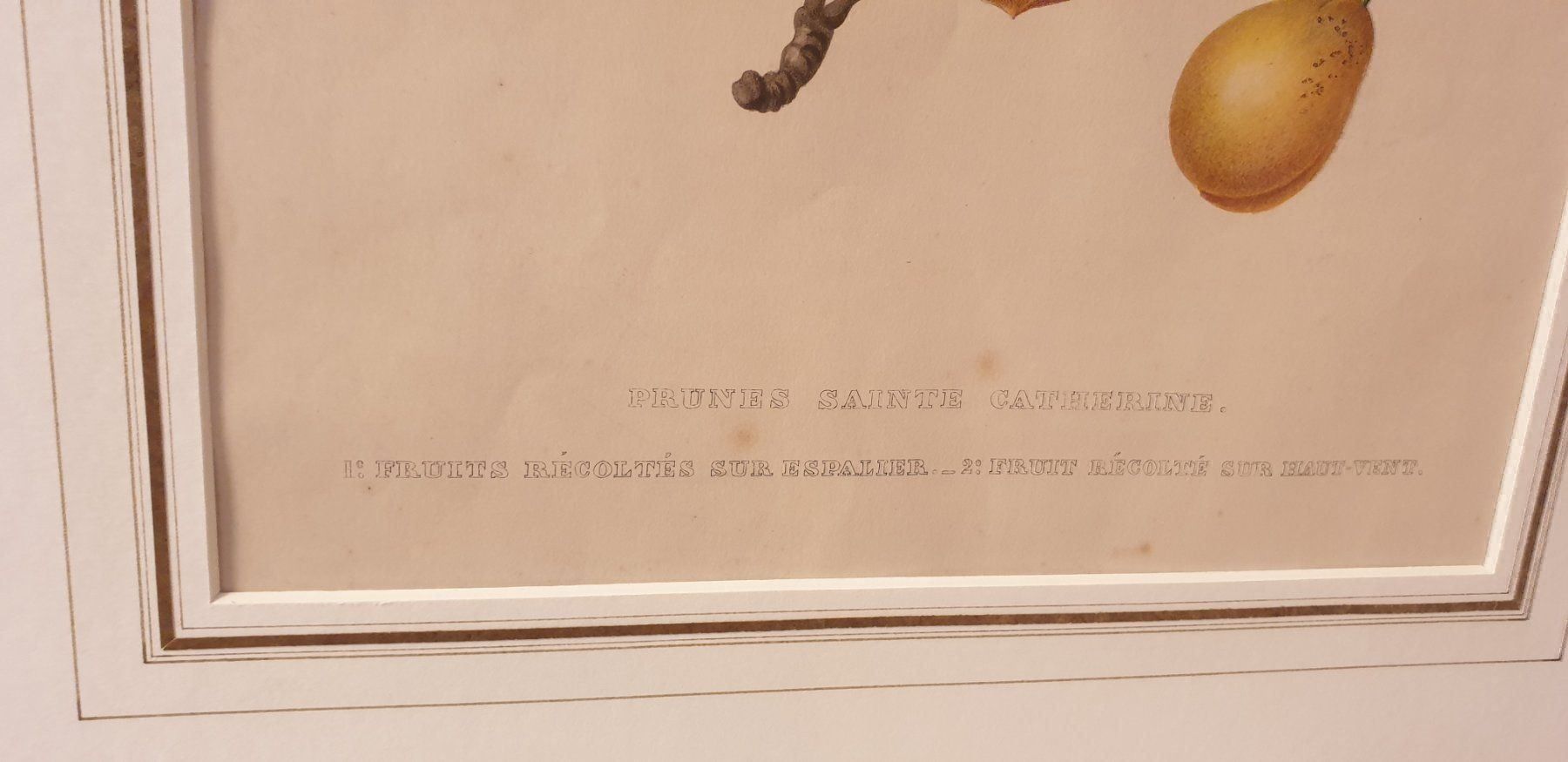 Incisioni: Stich um 1840 – Usato da Winterthur venduto da han_m89f 3