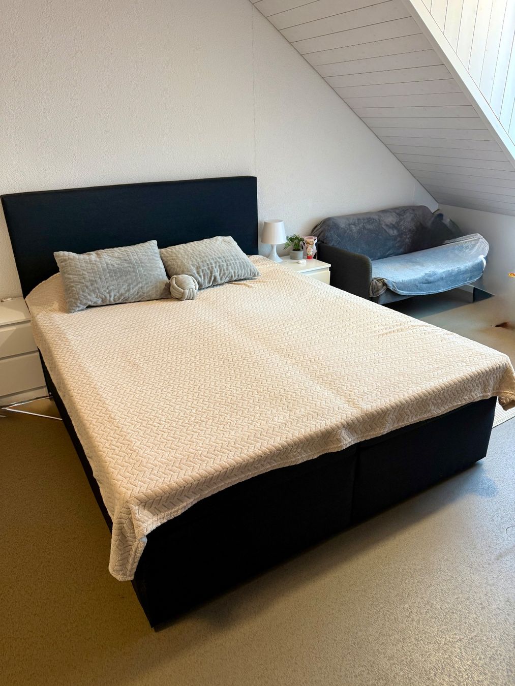 Letti: Boxspringbett  160x200 – Usato da Kleinwangen venduto da OlgaZiben 1
