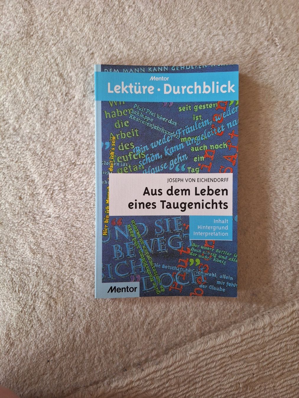 Libri: Durchblick: Aus dem Leben eines Taugenichts – Nuovo (secondo la descrizione) da Münchenstein venduto da soistes
