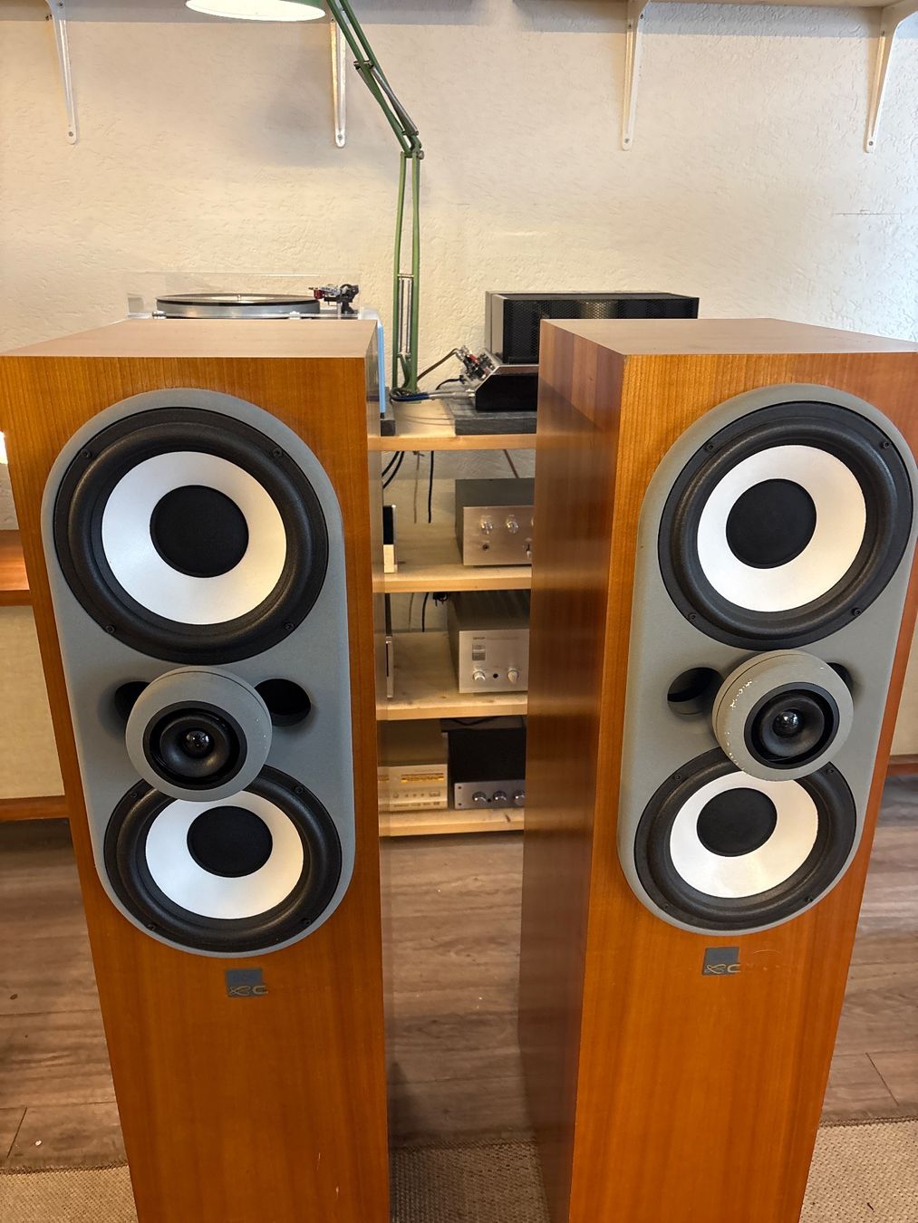 Cabasse Casse acustiche: Cabasse Iroise SCS Merisier – Usato da Onnens VD venduto da Vintage-Hifi-Store 4