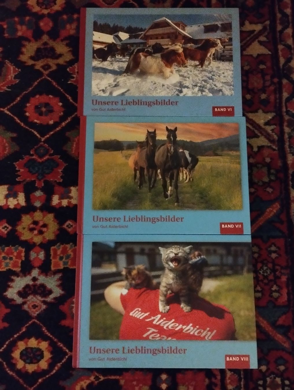 Bücher: Bildband Aiderbichel, 3 Sück, neu – Neu und originalverpackt aus Ostermundigen von Dinge1