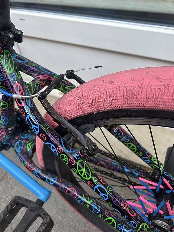 Biciclette: ES bike Peaceful – Usato da Lausanne venduto da pie_wdw7 3