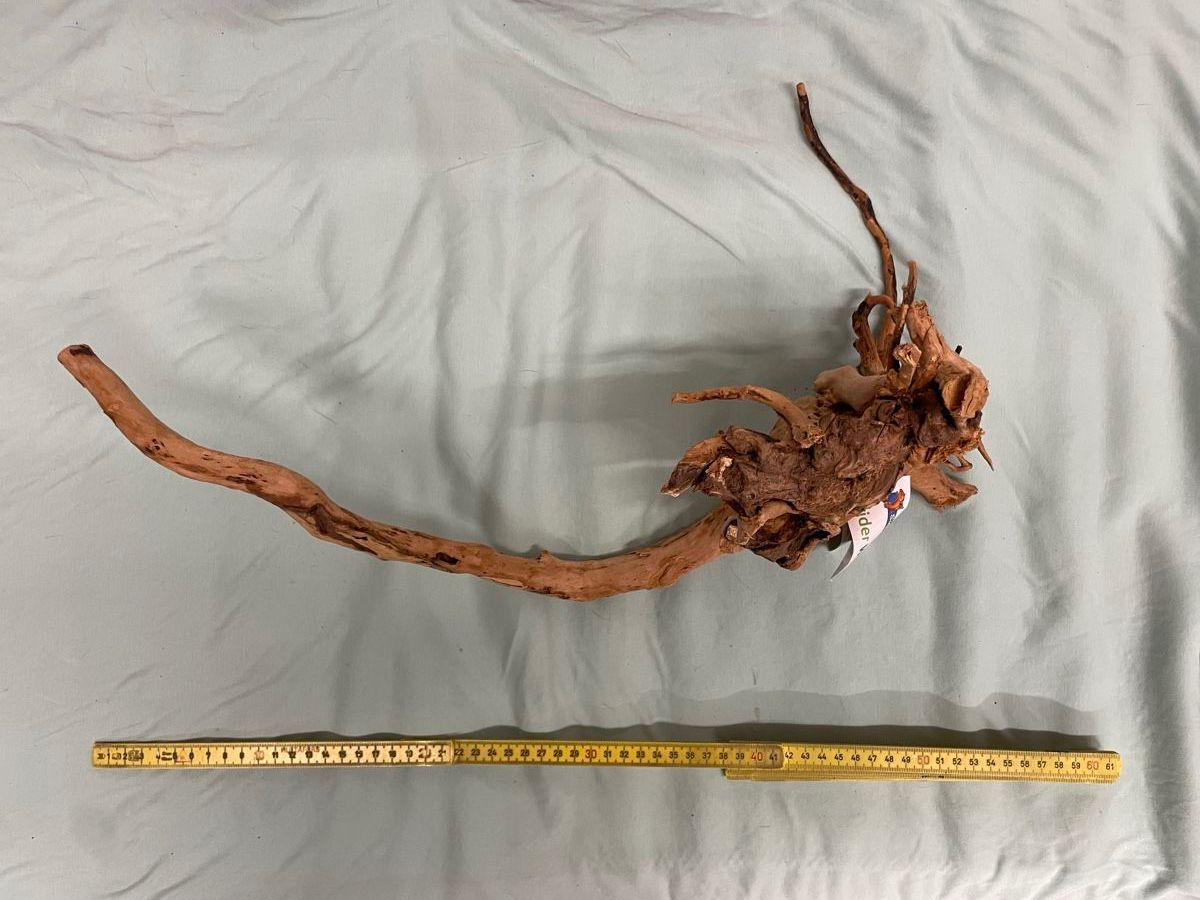 Alle Dekorationen: Aquarium Morkien Wurzel neu ca. 50cm – Neu (gemäss Beschreibung) aus Nidau von Beritundpan 2