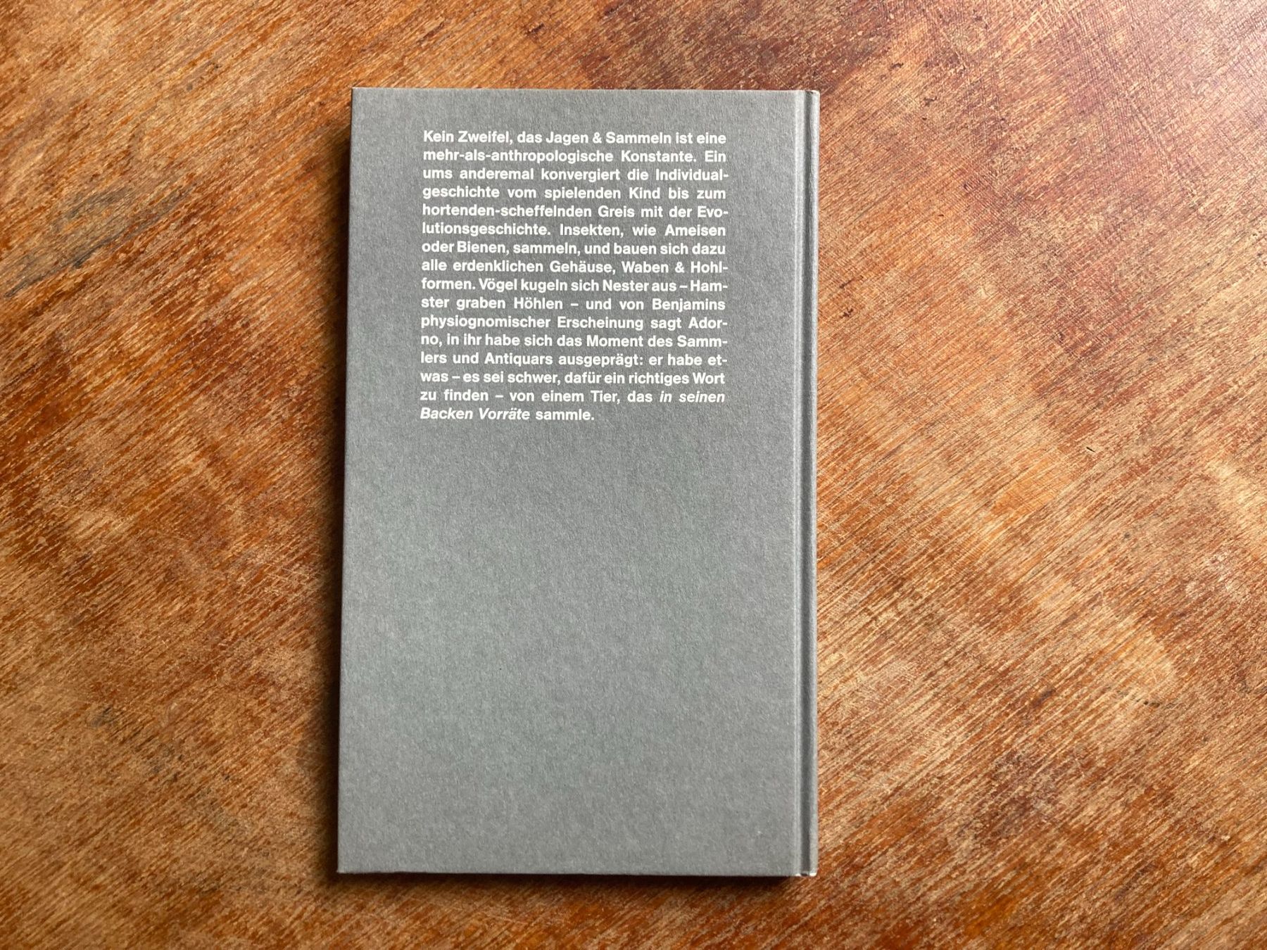 Libri: Walter Benjamin: Der Sammler und das geschlossene Kästchen – Usato da zürich venduto da Tombola8 2