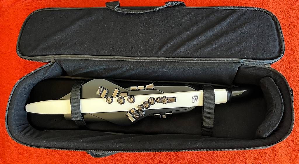 Roland Strumenti musicali: Aerophone Roland AE-20 – Usato da Lausanne venduto da sbar224 3