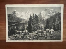 AK   1913 Jungfrau, Eiger, Mönch  (G3127)