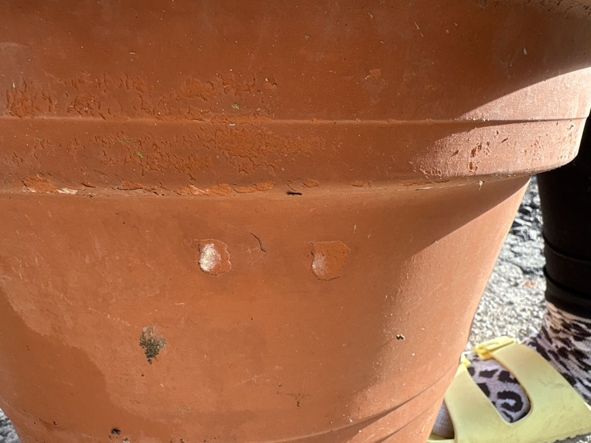 Vasi per fiori: Tontopf  – Usato da Sternenberg venduto da Ghenjoh 5