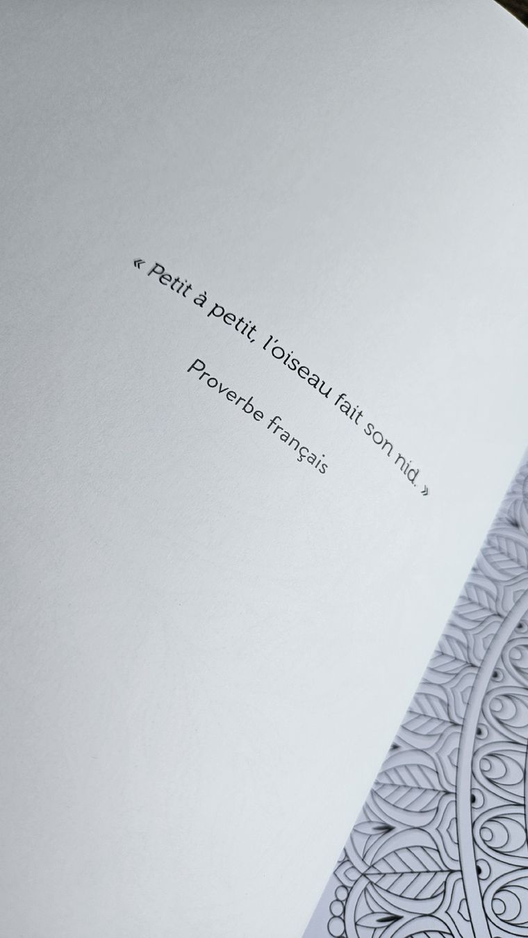 Libri: Malbuch Oiseaux Mes Mandalas Rustica Editions Neu – Nuovo (secondo la descrizione) da Rheinfelden venduto da Pinkysheep 2