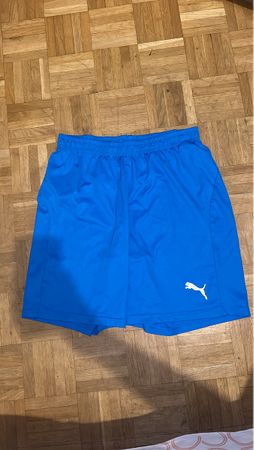 Puma Blue Athletic Shorts - Size M - Summer Sportswear
