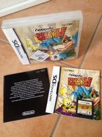 Nintendo Ds Puzzle Adventure
