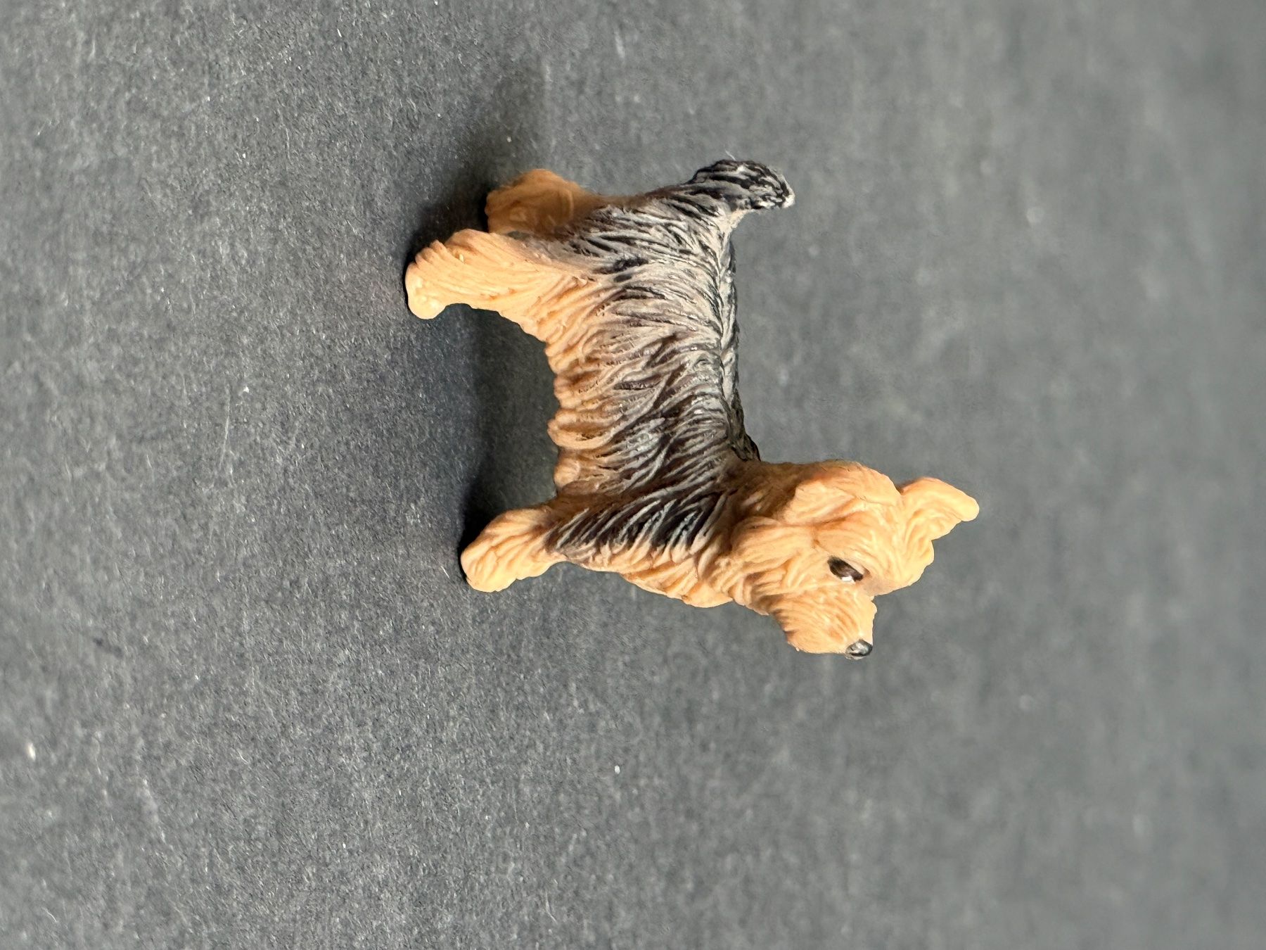 Schleich Statuette: Schleich 13876 Yorkshire Terrier Hund – Nuovo (secondo la descrizione) da Ennetbaden venduto da mapa05 1