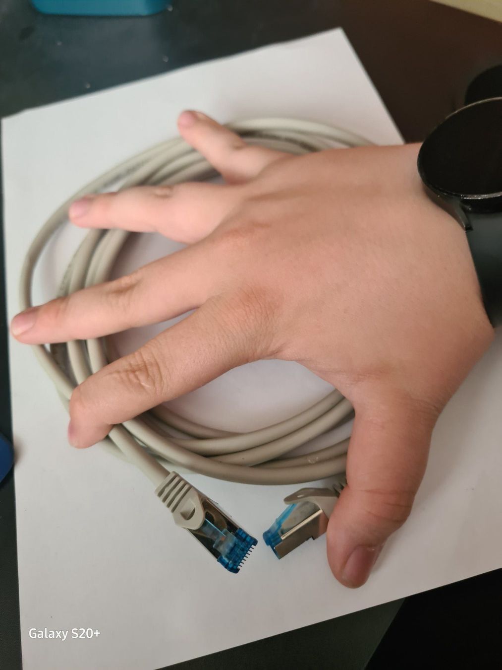Cavi: LAN-Kabel CAT.6A S/FTP PIMF Patchkabel 500MHZ, Grau, 2m – Nuovo (secondo la descrizione) da Zürich venduto da Alibaba1234