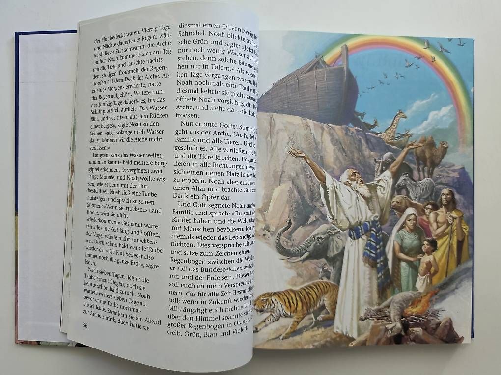 Libri: Wunderschöne Kinderbibel – Nuovo e nell'imballaggio originale da Schlieren venduto da eve_v8kt 1