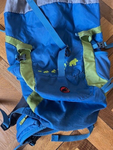 Mammut Borse & Zaini: Mammut First Ascent 18, Kinder Wanderrucksack – Usato da Zürich venduto da Klawitter 3