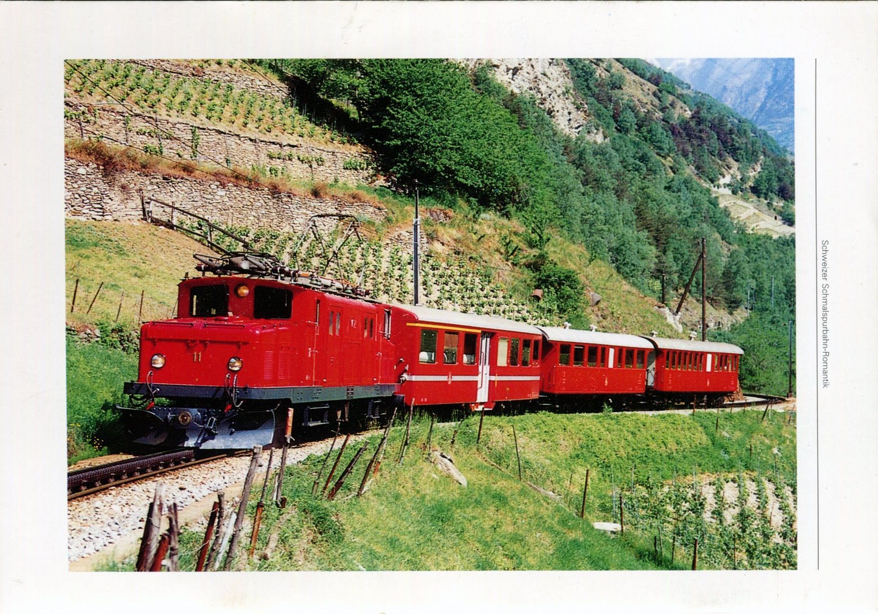 Libri: Schweizer Schmalspurbahnen – Usato da Aarau venduto da Elmaar41 1