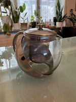 Glas Teekanne mit Filter-Einsatz, ideal für Winterzeit