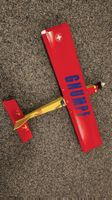 Cooles Modellflugzeug "Gnumpf", ideales Sommerprojekt!