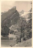 Seealpsee mit Säntis (AI) retro senza scritta G