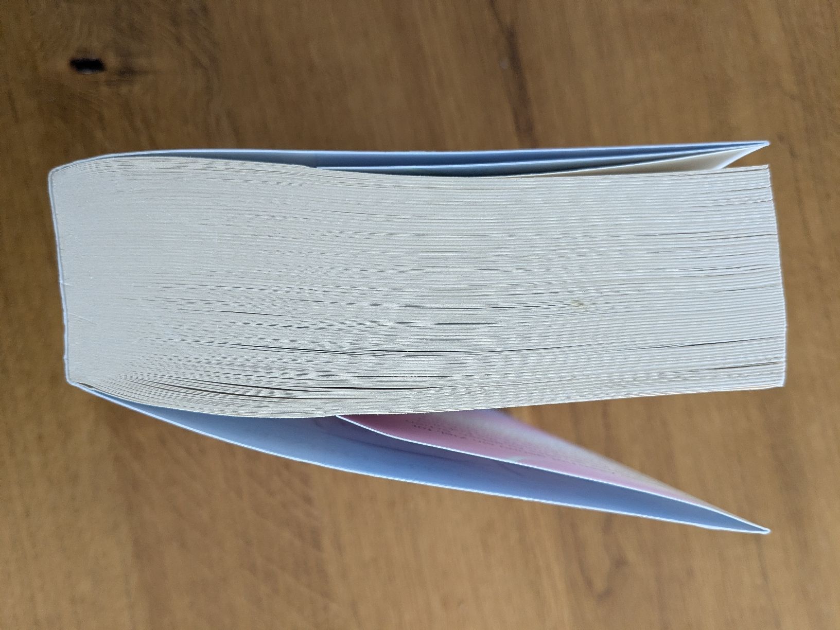 Livres: Icebreaker - Hannah Grace   – D'occasion à Wohlen AG par merkur0300 2