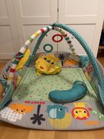 Baby Activity Gym - Fisher-Price