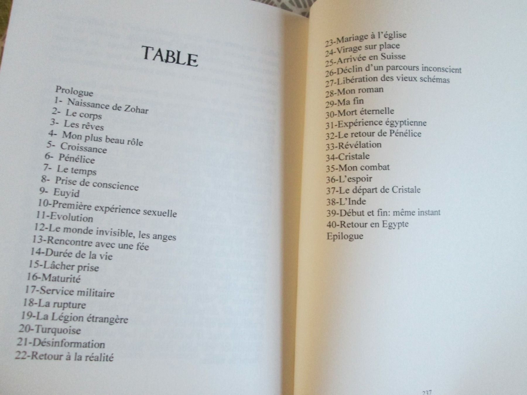 Libri: Le paravent des illusions perdues – Usato da Neuchâtel venduto da Dualseele 1