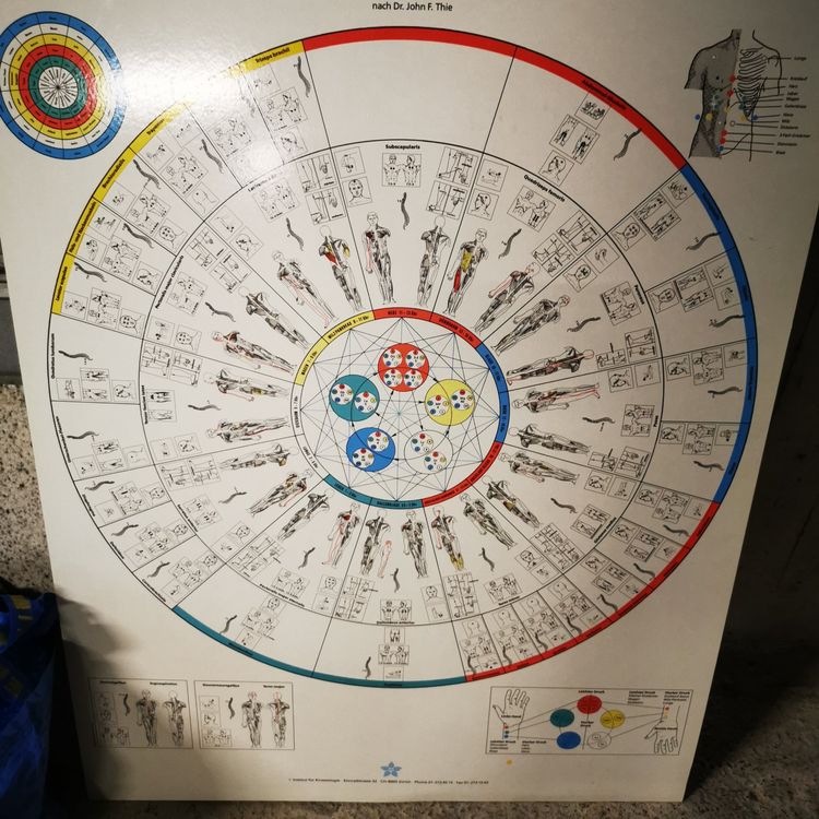 Kinesiolgie Touch for Health Chart auf Metall (Gebraucht) in Männedorf ...