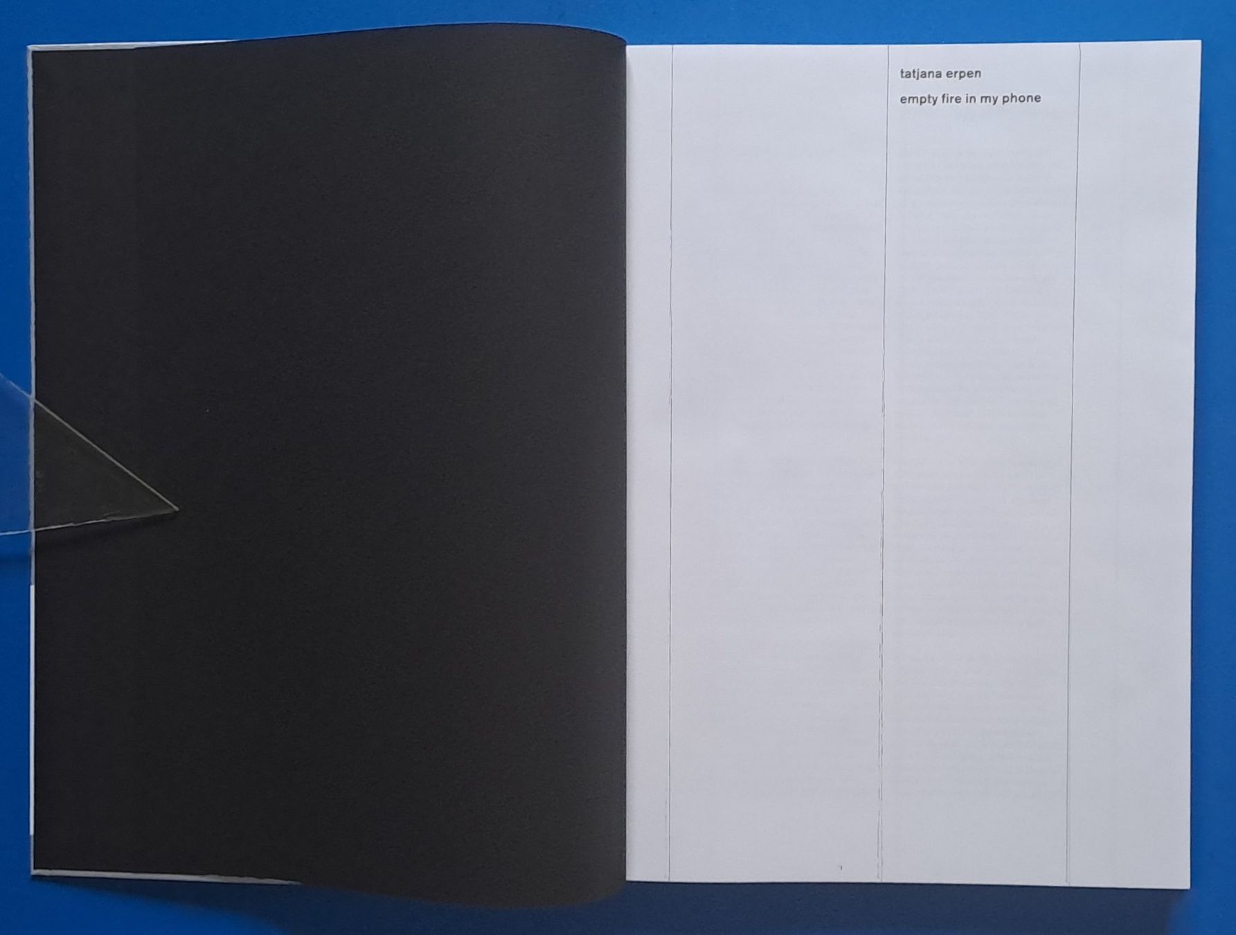Livres: Tatjana Erpen: empty fire in my phone. EA 2019 d/e codax – D'occasion à Zürich par archiphil 1