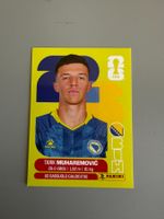 Panini Tarik Muharemovic BIH5