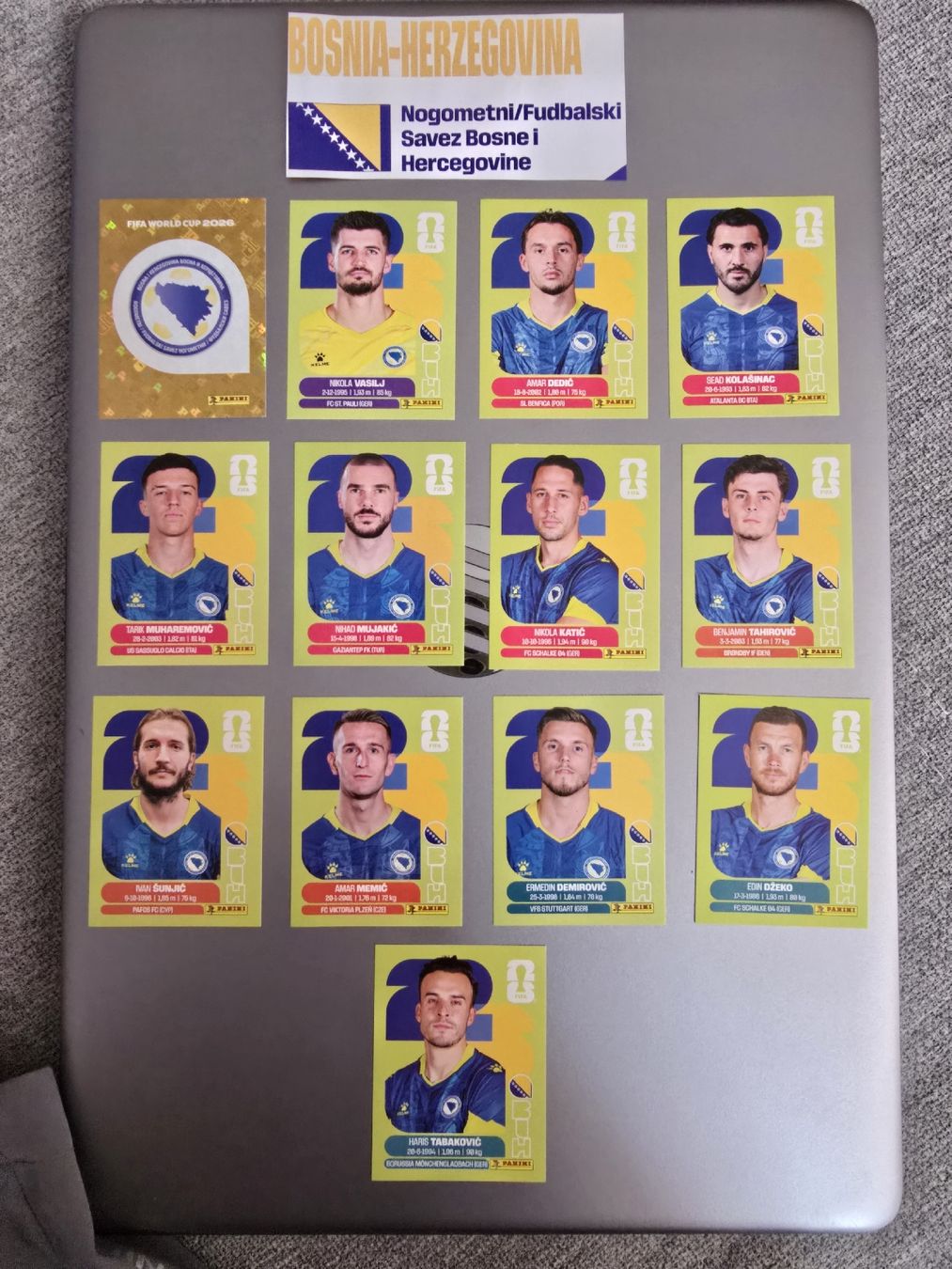 Panini Carte collezionabili: Bosnien & Herzegowina Panini WM 2026 – Nuovo (secondo la descrizione) da Zürich venduto da TutNixCH