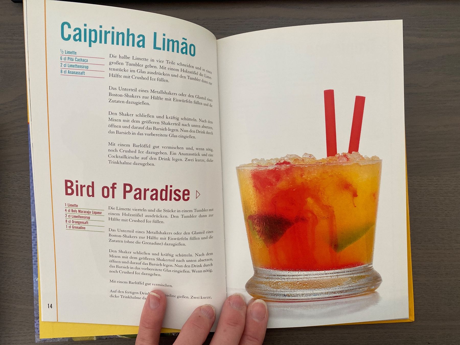 Libri: Buch "Caipi & Co." – Nuovo (secondo la descrizione) da Reichenburg venduto da Noxima 1