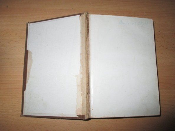 Bücher: Grube Geschichtsbilder 1885 – Defekt aus Flims - Dorf von Stagediver 7