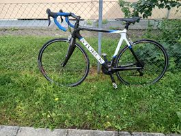 Rennrad STORCK Absolutist 0.9