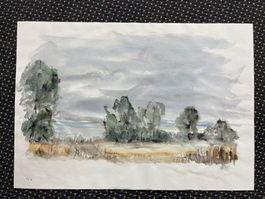 Landschafts - Szene von Medard Sidler     (ID B5647)