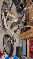 klapp velo bonanza