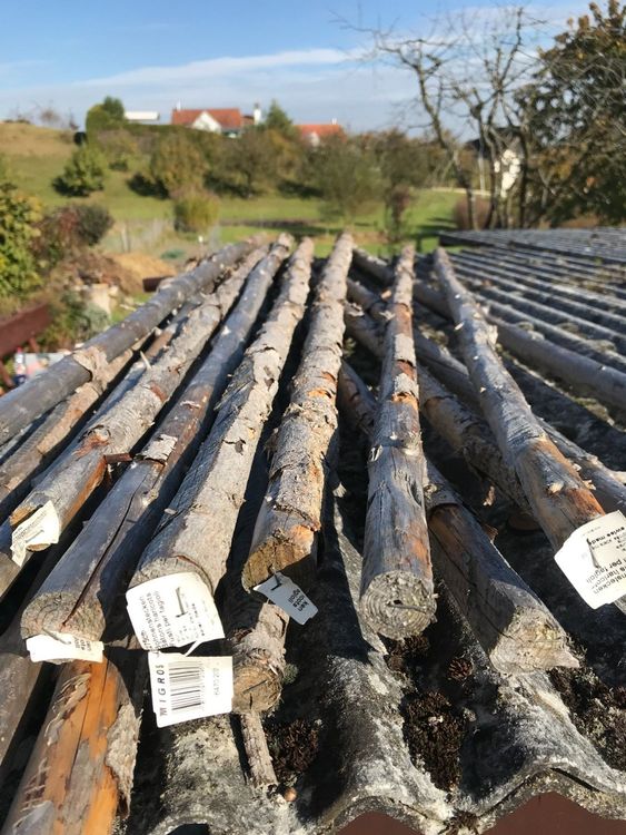 Bohnenstangen Holz Kaufen auf Ricardo